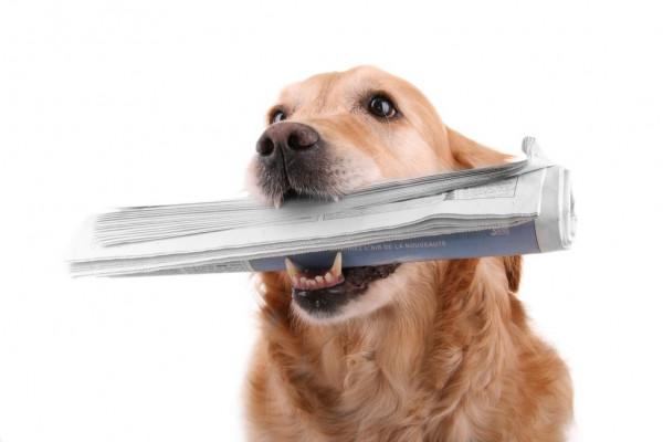 Кинэн ответил Величкину на обвинения в злоупотреблении алкоголем