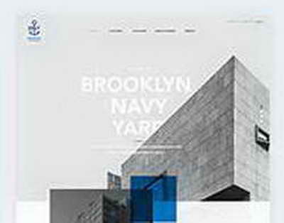 VK: любимый видеоконтент россиян  что смотрят разные поколения