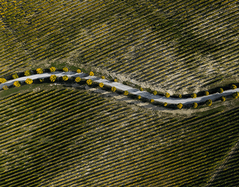 Лучший шахматист мира поменял титулы на джинсы // Магнус Карлсен покинул чемпионат по рапиду и блицу из-за конфликта по поводу дресс-кода